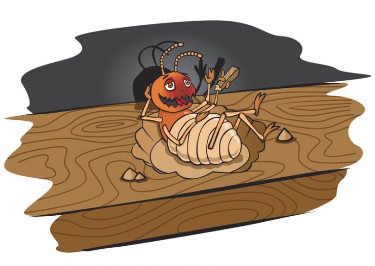 Flying Termites 