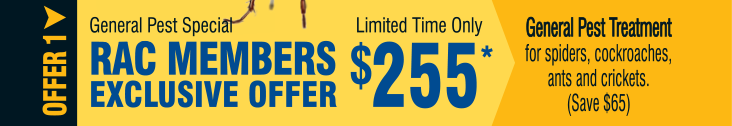 termico-pest-management-perth-spring-specials-general-pest.png