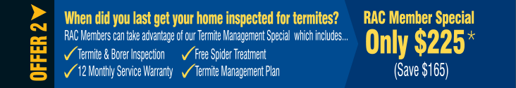termico-pest-management-perth-spring-specials-termite.png